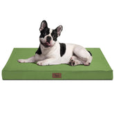 Tail Stories outdoor orthopedic dog bed 30x20 light green offers joint-support comfort