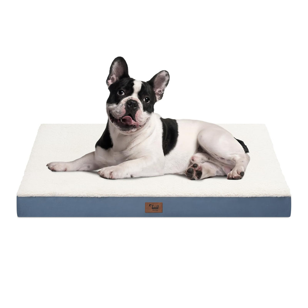 Tail Stories plush orthopedic dog bed 30x20 inches in blue and white, offering supportive cushioning.