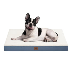 Tail Stories plush orthopedic dog bed 30x20 inches in blue and white, offering supportive cushioning.