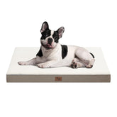 Tail Stories plush orthopedic dog bed with sherpa side for warm, cozy naps