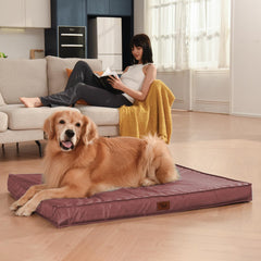 Tail Stories removable cover is machine washable for quick maintenance.