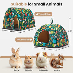 TailoWag guinea pig tunnel entrance emphasizes easy access for play and rest