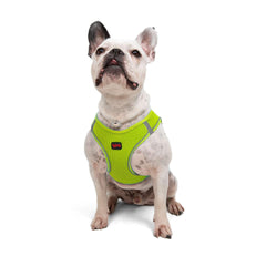 Tailpetz dog harness neon lime front view enhances visibility during daytime walks.
