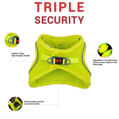 Tailpetz step-in harness no-pull large dog demonstrates easy on/off for outings.