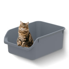 Tailryth large cat litter box low-entry front view supports easy access for kittens and seniors.