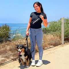 Tails & Tales zipper pouch attachment for carrying essentials during walks