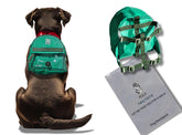 TAILTOTE dog hiking backpack outdoor view highlights durable design for rugged trails and adventures.