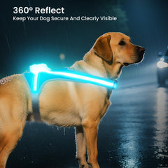 Tailuxe LED strips provide bright color options for visibility and style.