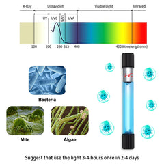 TAISHAN Aquarium Clean Light green water removal improves visibility.