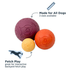 Tall Tails G.O.A.T sport ball small dog chewing closeup showcases durable material.