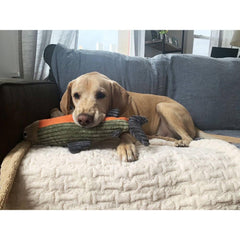 Tall Tails plush fish toy seam detail with hidden squeaker for durable play.