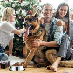 Tanlade upper rim design keeps pets comfortable while eating.