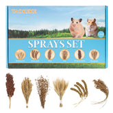 TAOKEKE hamster spray set packaging highlights natural foraging toys for small pets
