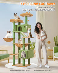 Taoqimiao cactus cat tree top perches offering elevated vantage points for attentive cat watching.