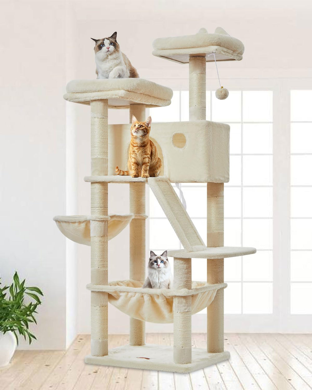 Taoqimiao cat tree 57.5-inch full view with multi-level play structure for climbing and lounging.