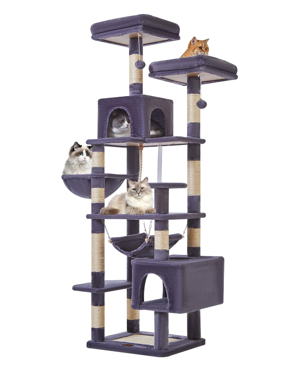 Taoqimiao 71-inch cat tree height supports multiple cats at play and rest
