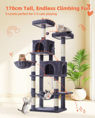 Taoqimiao Cat Tree perches provide elevated views and comfortable resting spots.