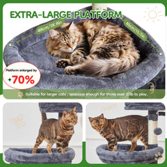 Taoqimiao MS042G viewing platform provides elevated vantage for curious cats.