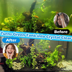 Tararium U-V Filter 6-in-1 setup shown for all-in-one aquarium care.