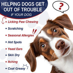 Taraxa itchy ears closeup suggests gentle care for canine ear discomfort.