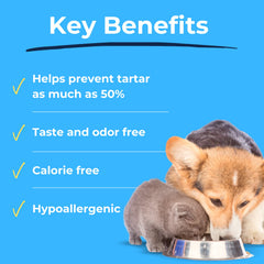 Dog and cat usage setup with DentaTabs for convenient mouth care.