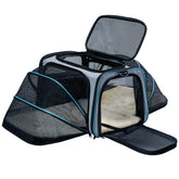 TDHDIKE cat dog carrier under-seat view shows compact, airline-friendly design.