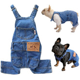Tealots denim overalls blue dog front view showing fit for daily wear