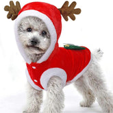 Tealots dog christmas costume santa-hoodie, ideal for festive holiday photos.