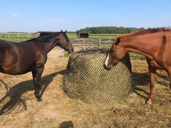Tech Equestrian knotless netting close-up highlights soft contact for horses.