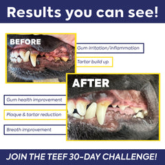 TEEF FOR LIFE Protektin42+K with cats' water mix promotes oral health.