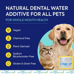 Protektin42K scoop and jar demonstrates easy daily serving for pet dental health.
