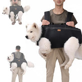 Terapaton dog lift harness full body sling supports large dogs during stairs and transfers.