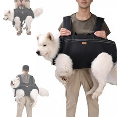 Terapaton dog lift harness full body sling supports large dogs during stairs and transfers.