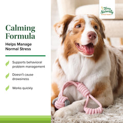 Relaxed dog scene with Terry Naturally Calming Formula implying stress support.