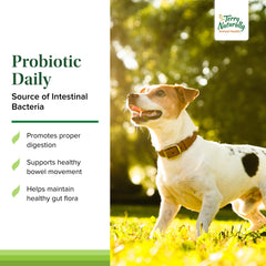 Terry Naturally Probiotic Daily dog bowl image emphasizes consistent bowel health with daily chews.