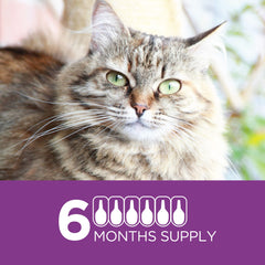 TevraPet Actispot II waterproof topical application demonstrates durable protection.