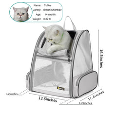 Texsens carrier safety straps keep your pet secure on hikes