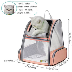 Texsens Traveler Bubble Backpack front view in use for small dogs and cats
