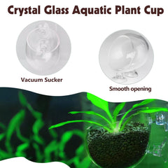 Tfwadmx compact 2.4x2.8x2 inch cup fits freshwater or saltwater tanks