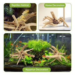 Tfwadmx driftwood 11-13in adds rustic texture and natural appeal to terrariums.