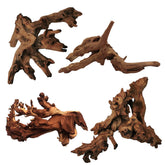 Tfwadmx natural driftwood collection shows unique shapes for aquascaping and hiding spots