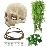 Tfwadmx reptiles skull hide ornament creates natural shelter for small reptiles.