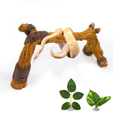 Tfwadmx snake climbing branch closeup highlights textured resin surface for natural climbing behavior.