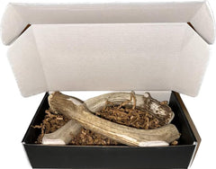 The Antler Box deer antler closeup shows natural chew texture for durable dog entertainment