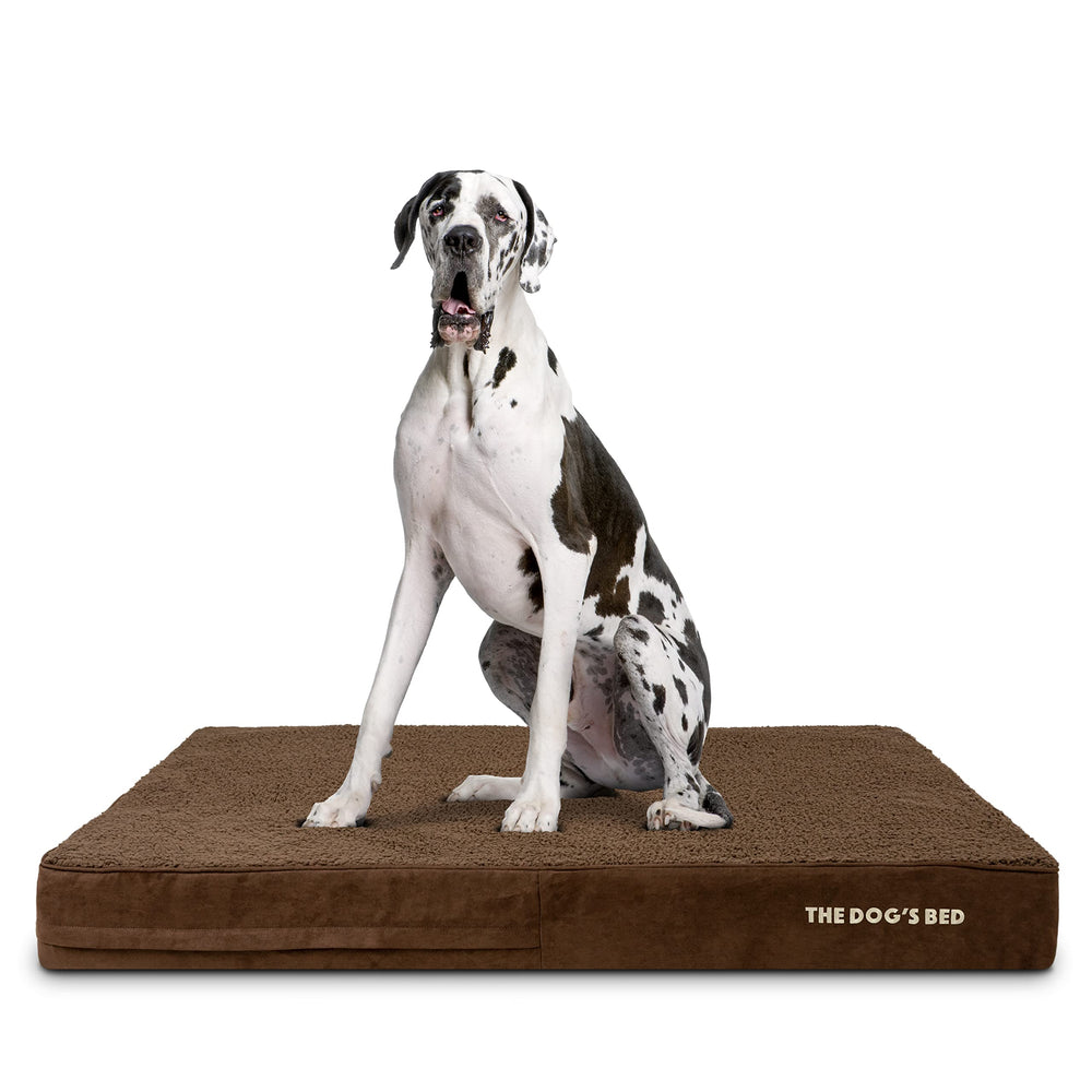 The Dog's Bed Orthopedic XXL brown plush shows cozy, joint-supporting surface.