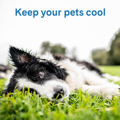 The Green Pet Shop Cool Pet Pad Extra Large Blue dog relaxing for cooling relief on warm days.