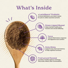 The Missing Link scoop-dip shows measured servings supporting mobility and vitality.