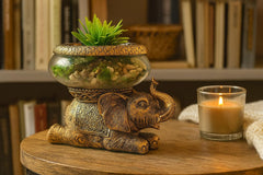 The Nifty Nook antique gold finish elephant figurine adds timeless charm to shelves.