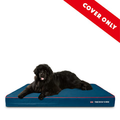 The Dog's Beds XXXL outer cover measures 64 by 44 by 6 inches for larger dogs.