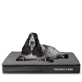 The Dog’s Bed orthopedic memory foam-core shows joint-supporting design for restful sleep